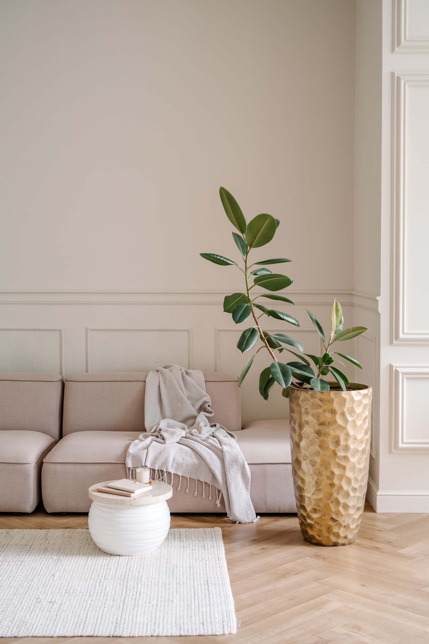 Minimal living room with plant in tall gold pot and blanket draped across a low beige couch